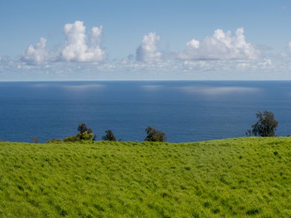 Kohala Coast Home 1000844