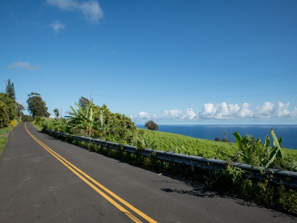 Kohala Coast Home 1000844