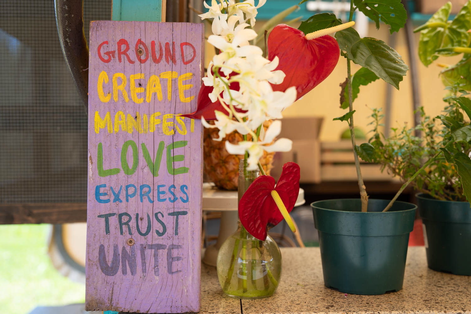 Kohala Coast Home 1000844