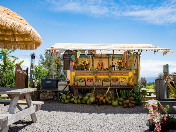 Kohala Coast Home 1000844