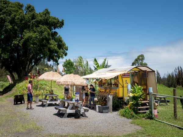 Kohala Coast Home 1000844