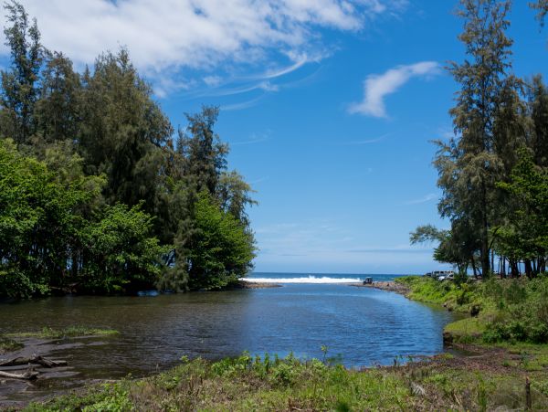 Kohala Coast Home 1000844