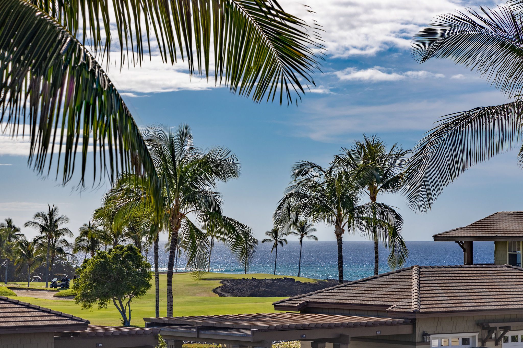 Kohala Coast Condo 1000849