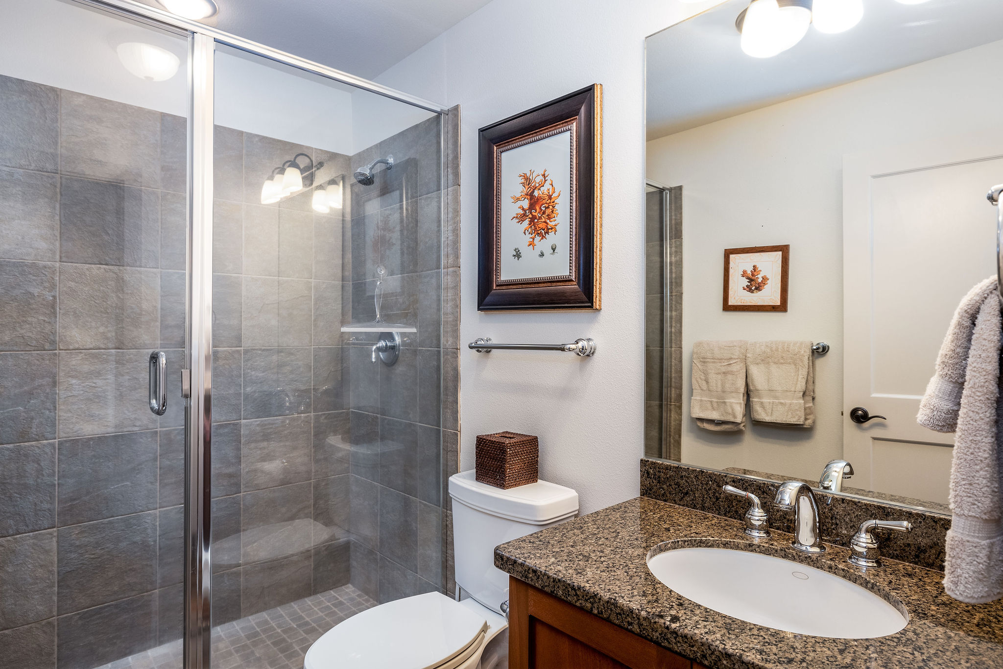 Kohala Coast Condo 1000849