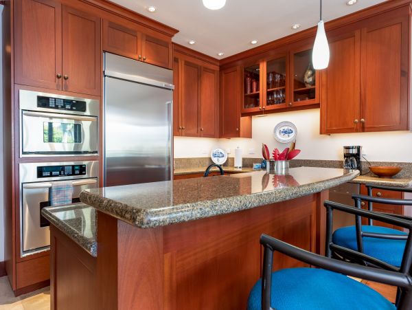 Kohala Coast Condo 1000850