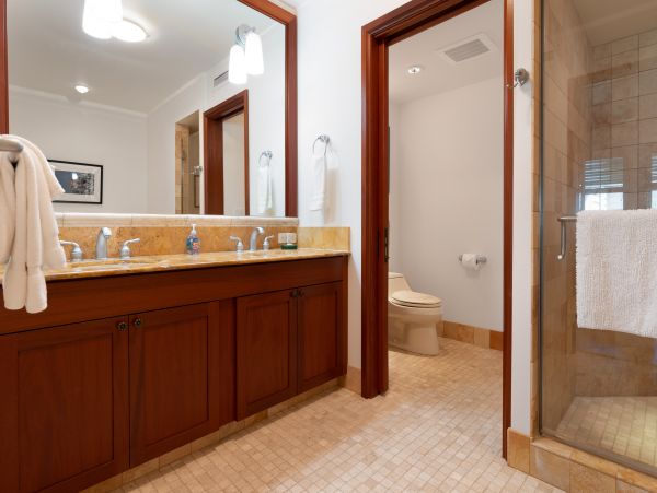Kohala Coast Condo 1000850