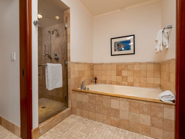 Kohala Coast Condo 1000850