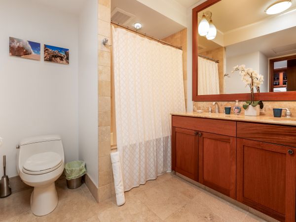 Kohala Coast Condo 1000850