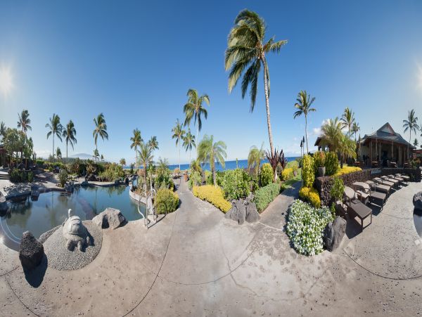 Kohala Coast Condo 1000851