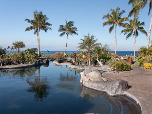 Kohala Coast Condo 1000852