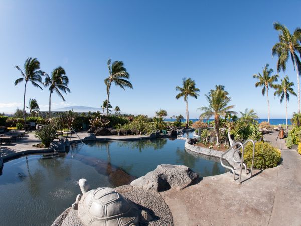 Kohala Coast Condo 1000852