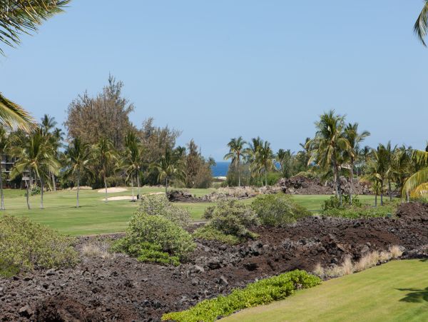 Kohala Coast Condo 1000852