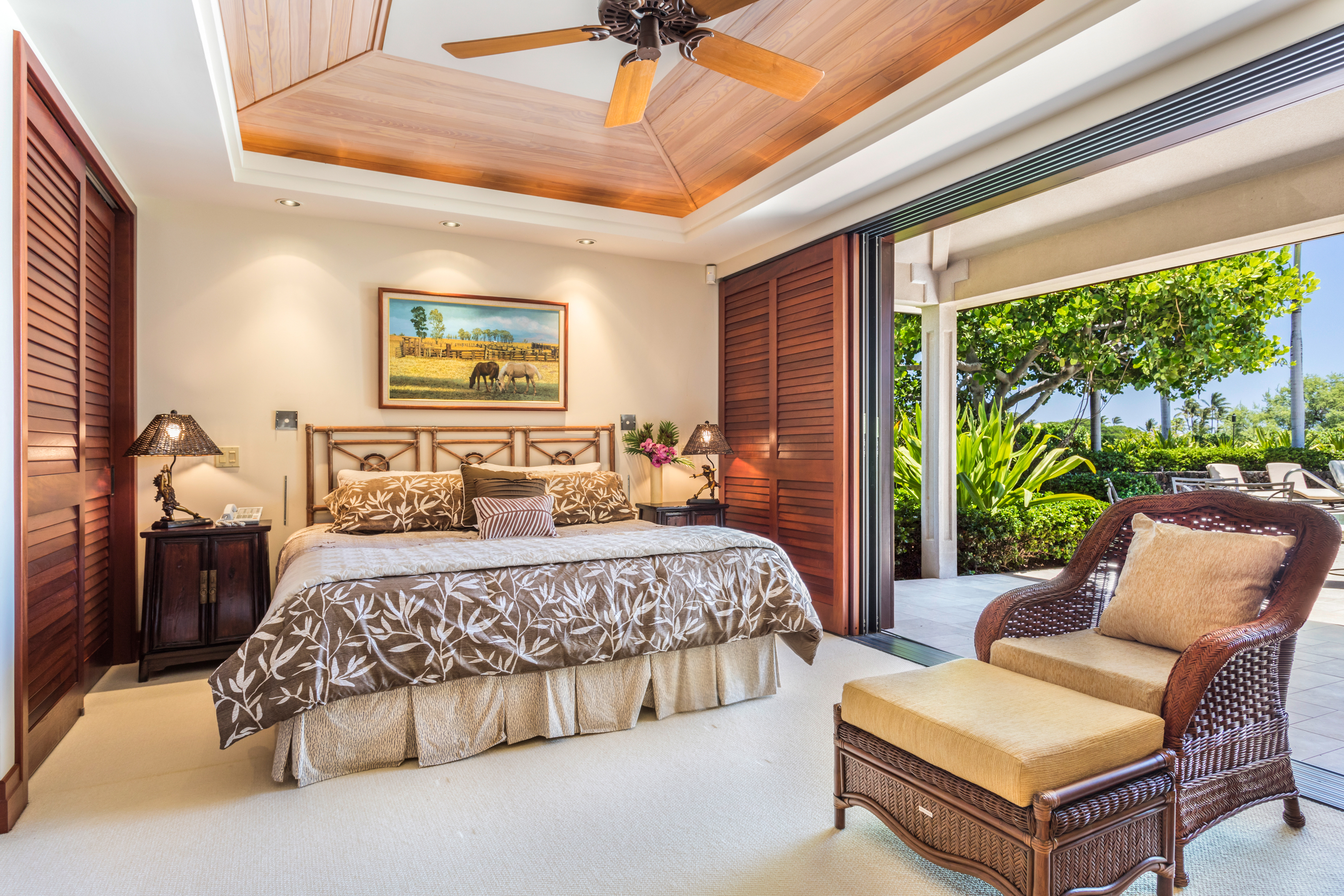 Kohala Coast Home 1000854