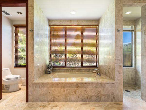 Kohala Coast Home 1000854