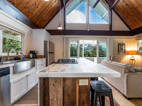 Kohala Coast Home 1000856