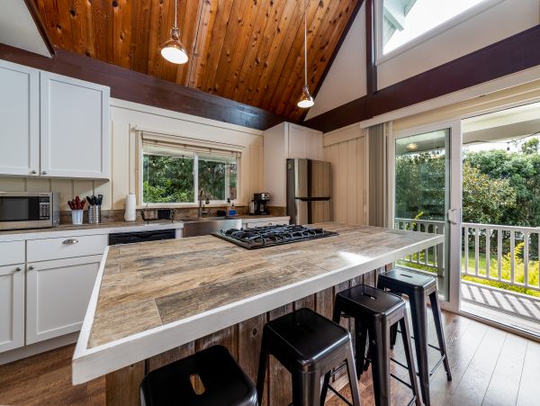 Kohala Coast Home 1000856