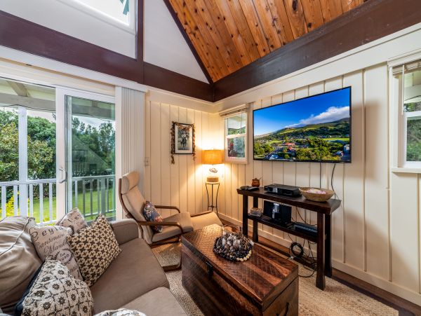 Kohala Coast Home 1000856
