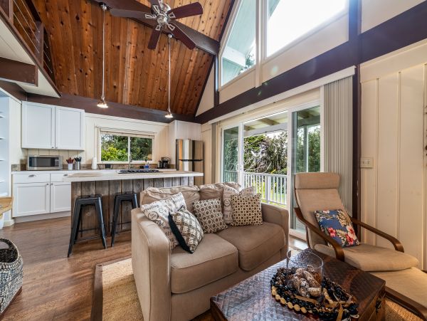 Kohala Coast Home 1000856