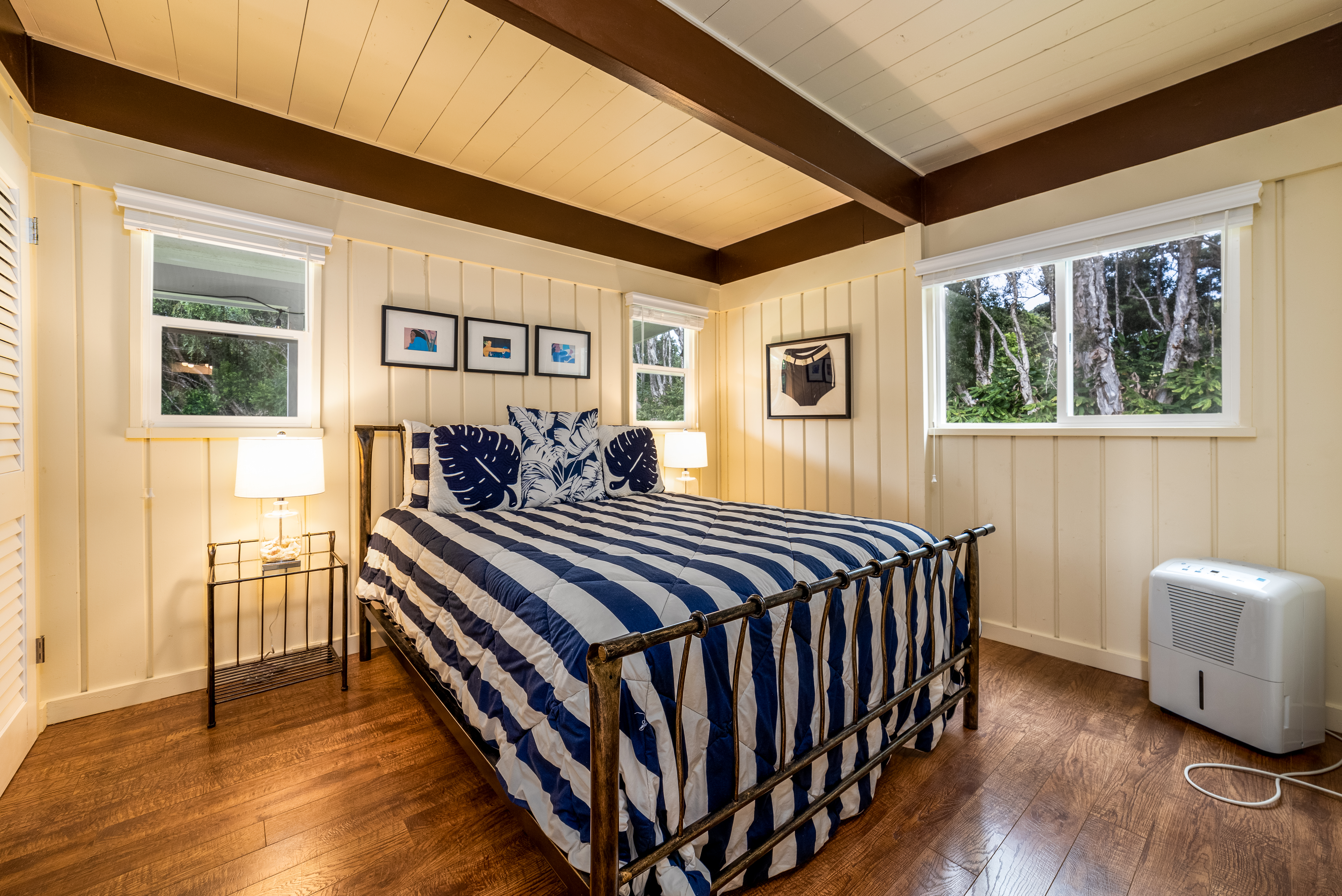 Kohala Coast Home 1000856
