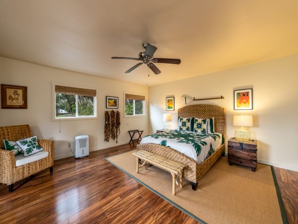 Kohala Coast Home 1000856