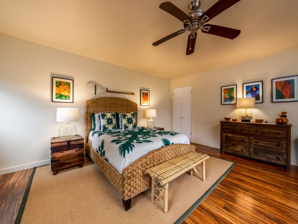 Kohala Coast Home 1000856