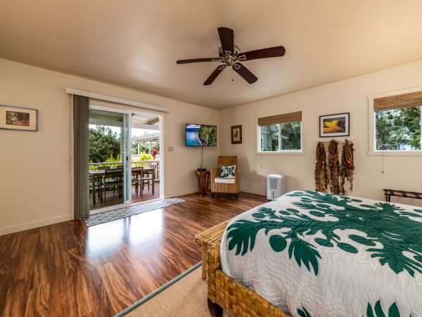 Kohala Coast Home 1000856
