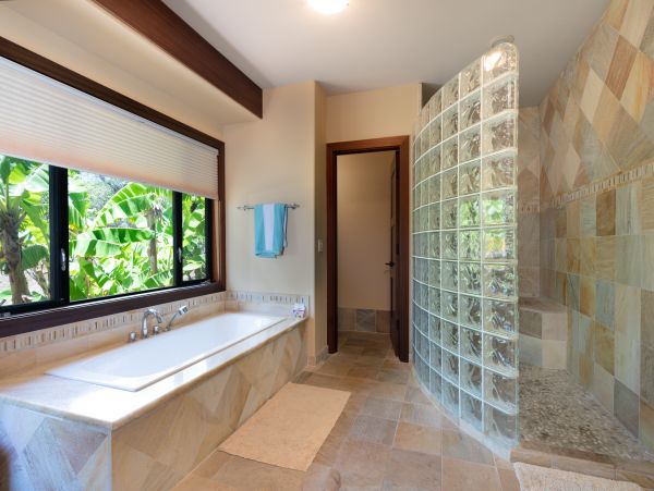 Kohala Coast Home 1000857