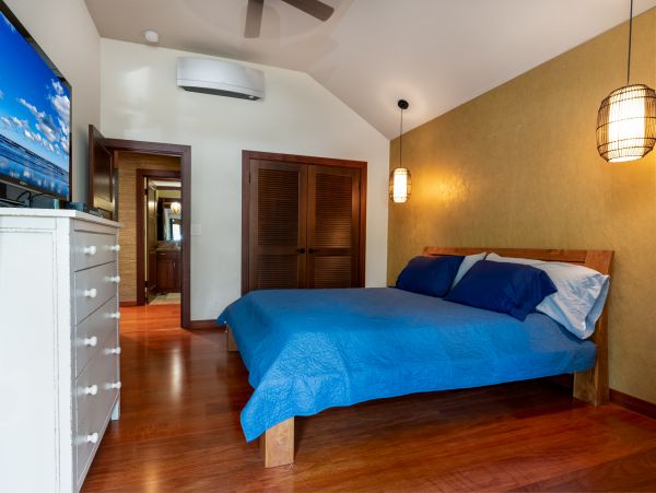 Kohala Coast Home 1000857