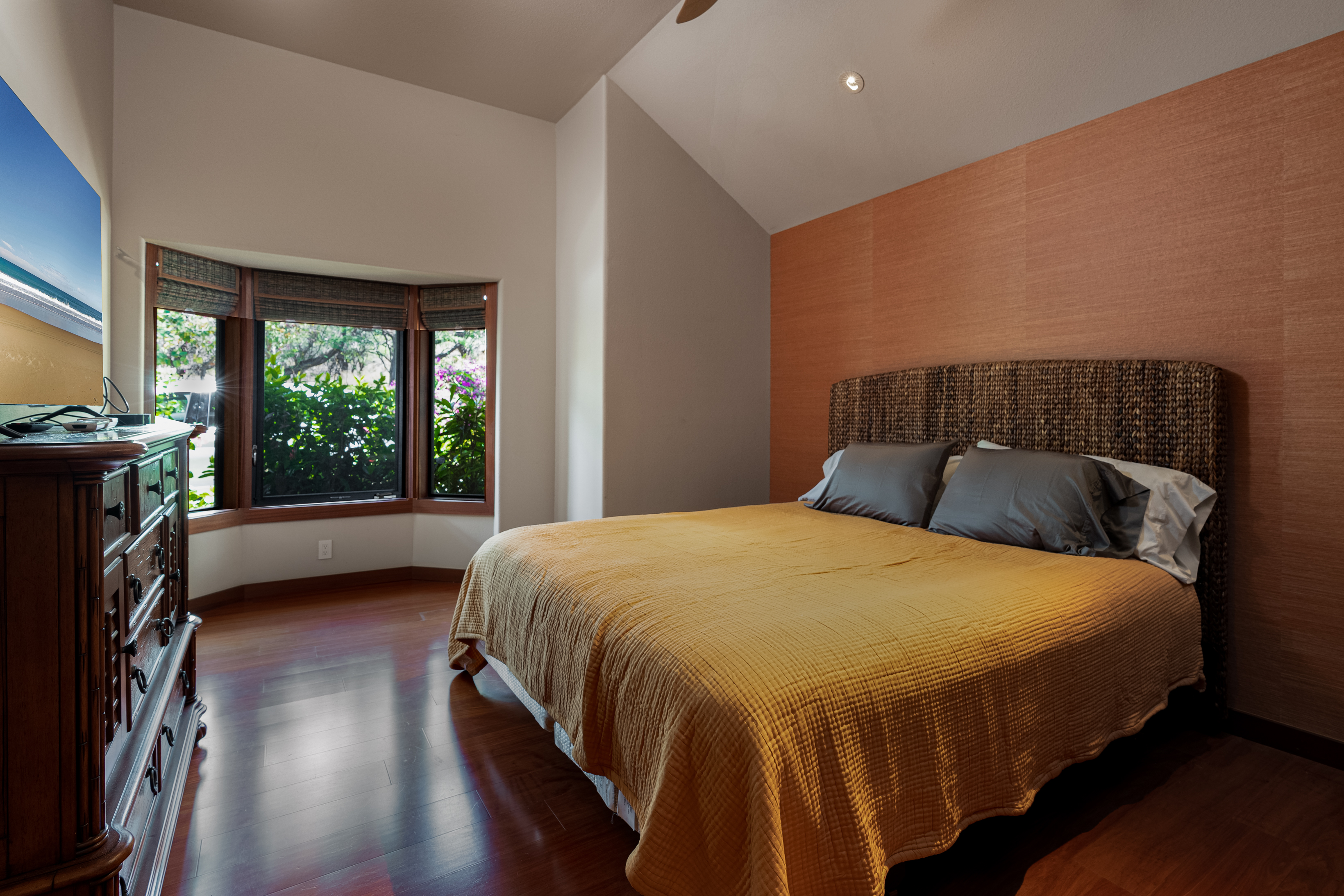 Kohala Coast Home 1000857