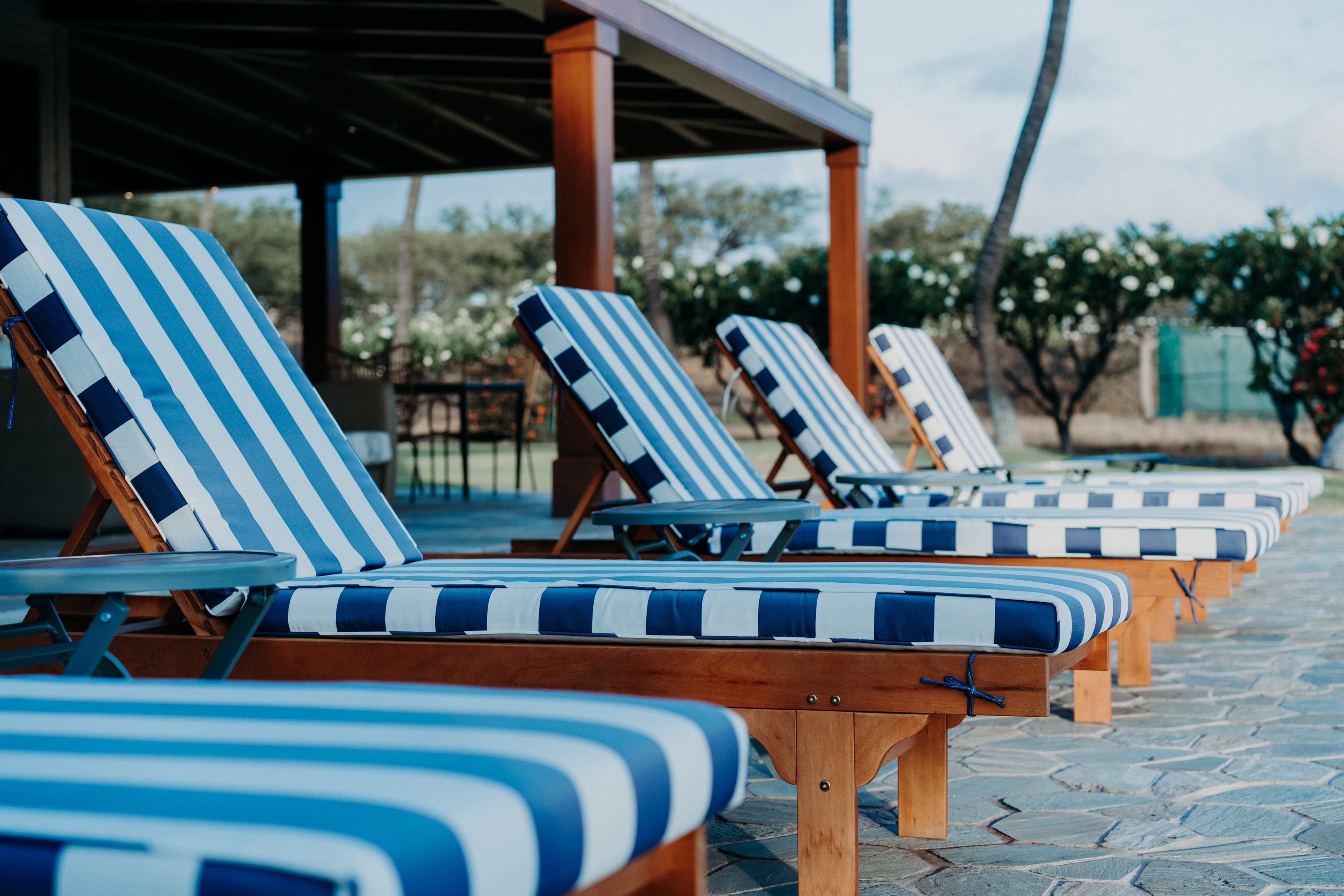 Kohala Coast Home 1000857