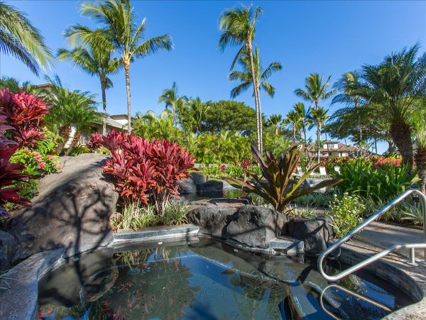 Kohala Coast Home 1000859