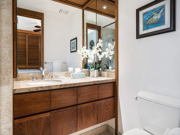 Kohala Coast Home 1000860