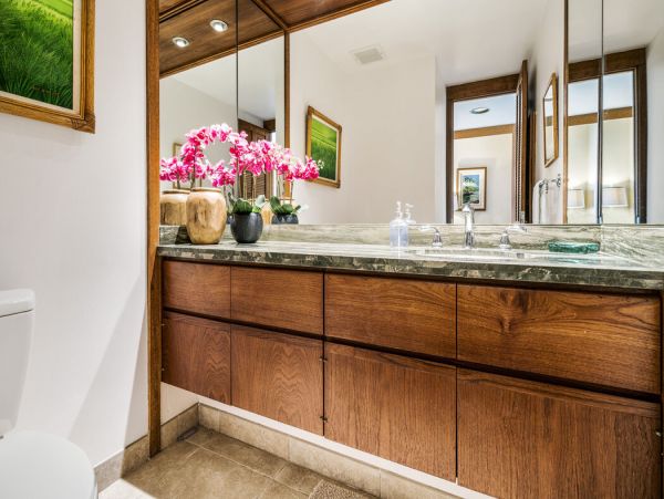Kohala Coast Home 1000860