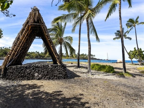 Kohala Coast Home 1000860