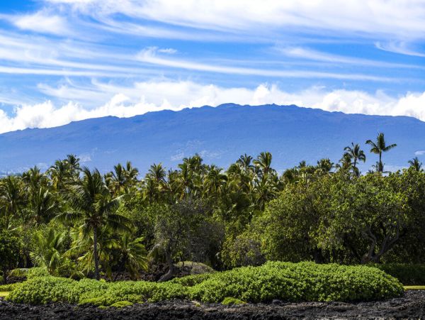 Kohala Coast Home 1000860