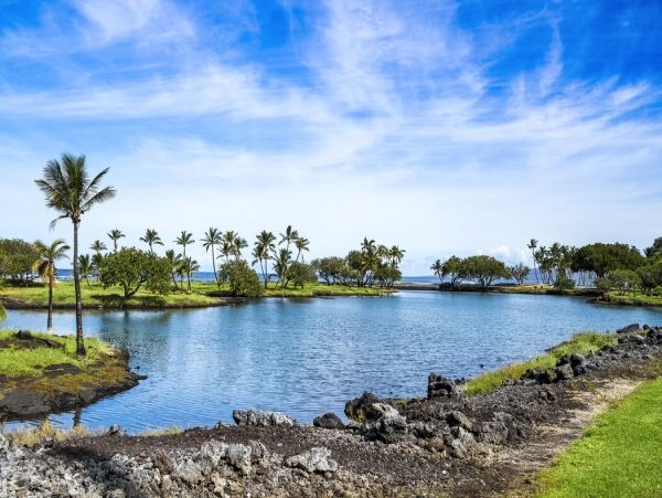 Kohala Coast Home 1000860
