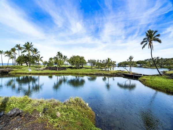 Kohala Coast Home 1000860