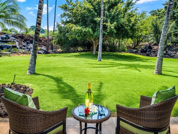 Kohala Coast Home 1000861