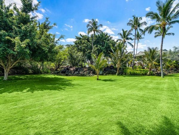 Kohala Coast Home 1000861