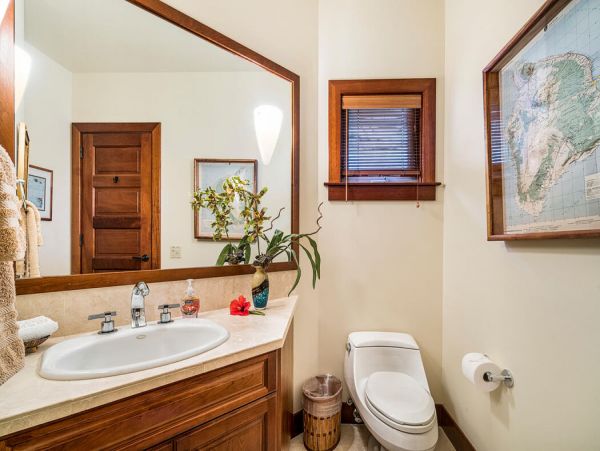 Kohala Coast Home 1000863