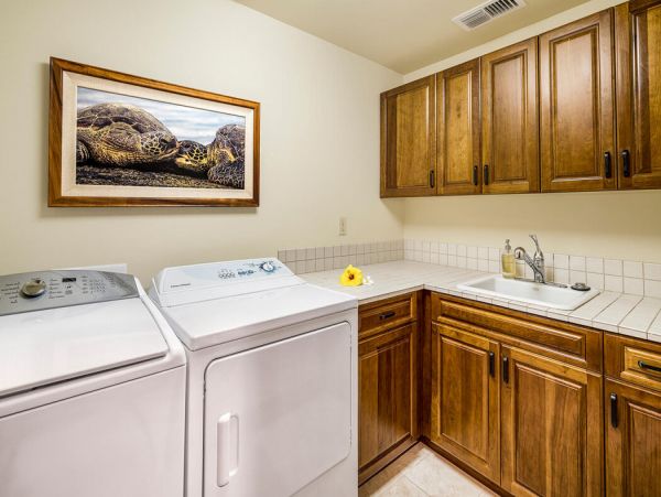 Kohala Coast Home 1000863