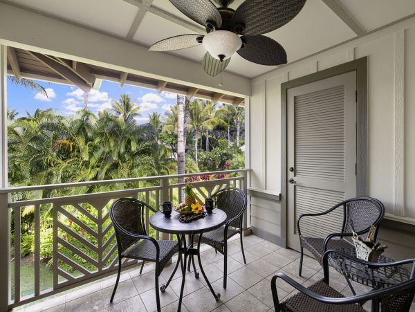 Kohala Coast Home 1000866