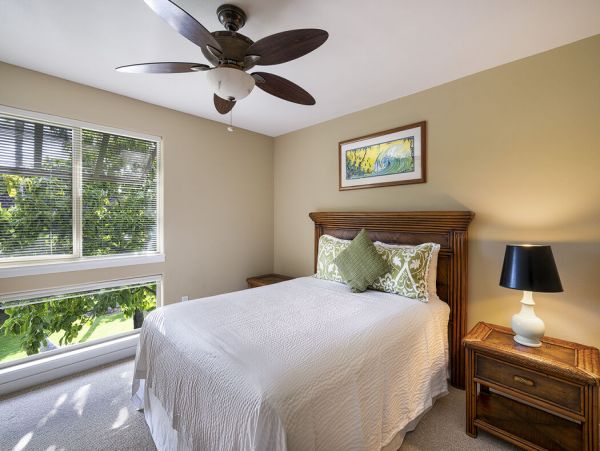 Kohala Coast Home 1000866