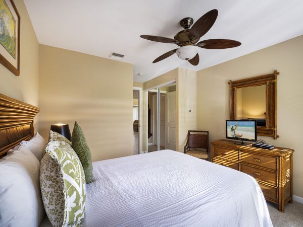 Kohala Coast Home 1000866