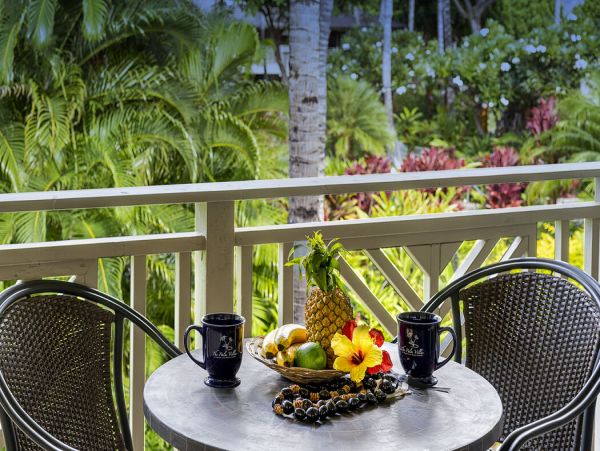 Kohala Coast Home 1000866
