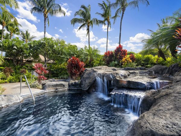 Kohala Coast Home 1000866