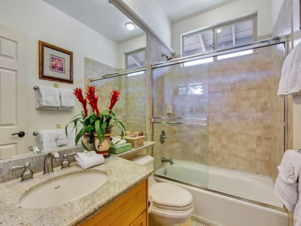 Kohala Coast Home 1000867