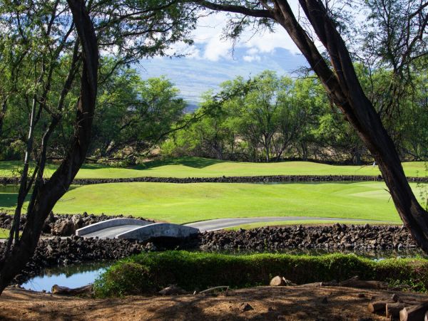 Kohala Coast Home 1000868