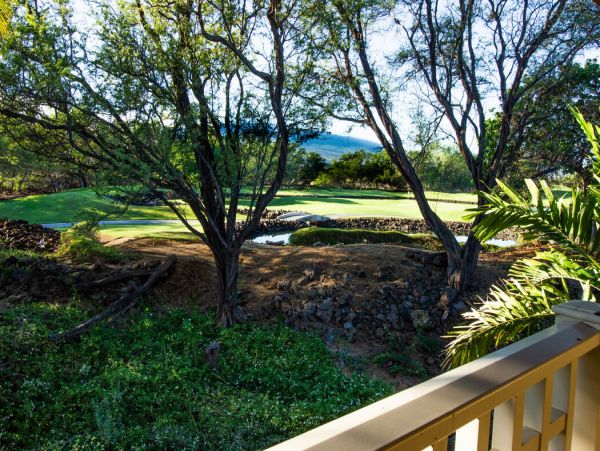 Kohala Coast Home 1000868