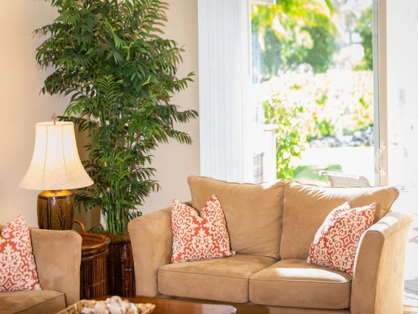 Kohala Coast Home 1000872